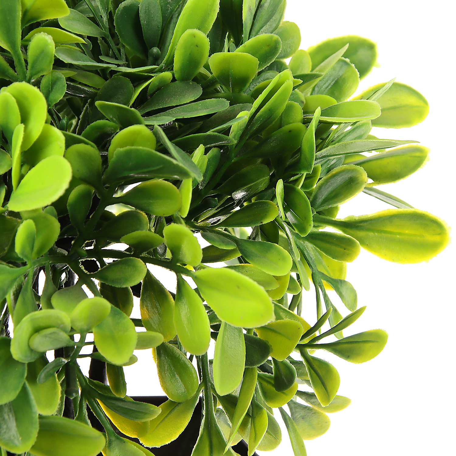 Бонсай в горшке "Листья фикуса" 11х21 см 3931550