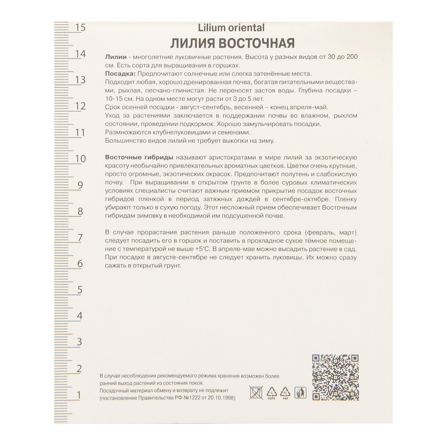 Лилия Восточная Лотус Бьюти 14-16/1шт