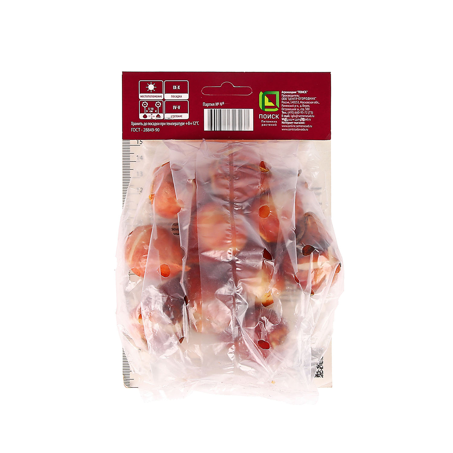 Тюльпан Дарвинов гибрид Пинк Прайд 11-12/10шт