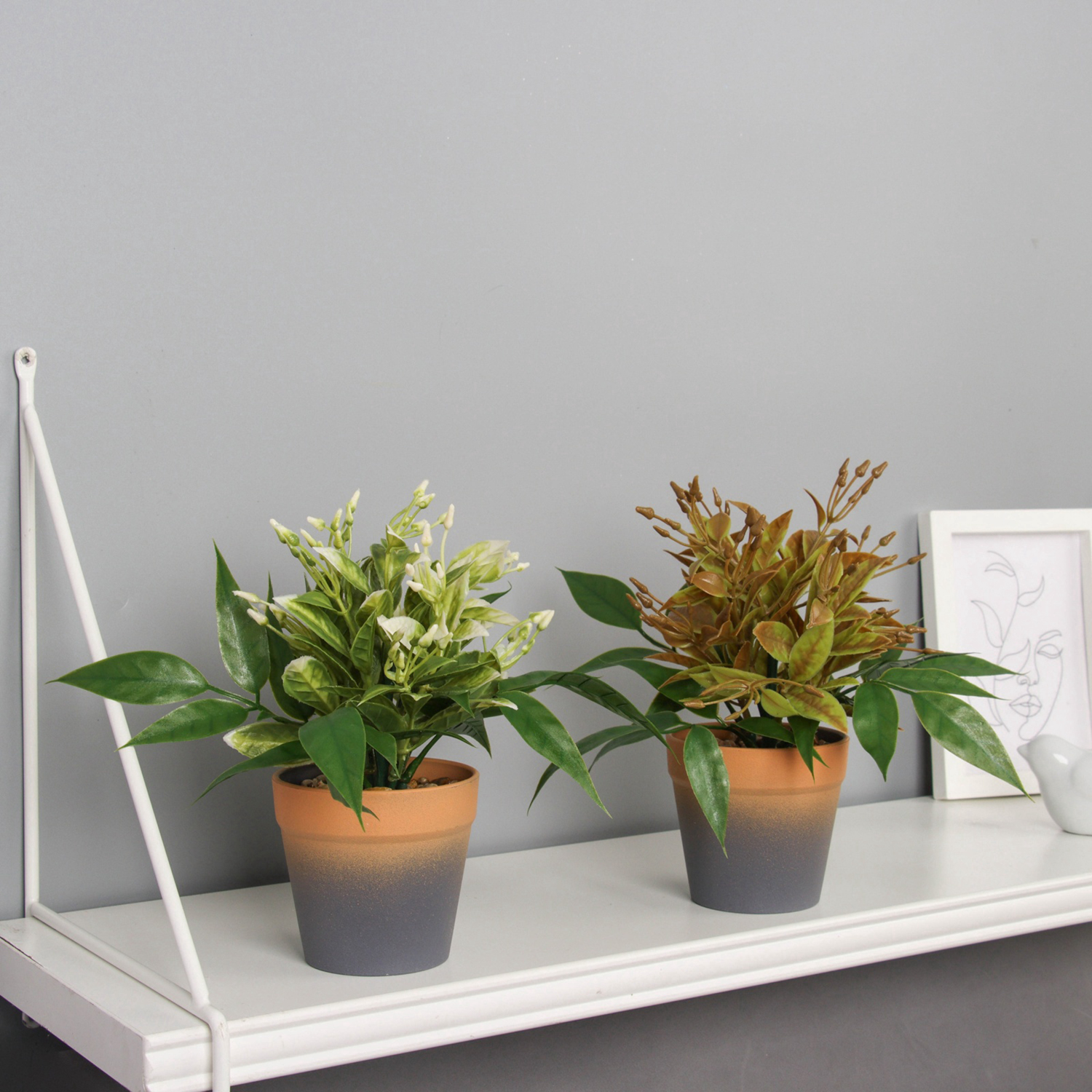 Бонсай в горшке "Птицемлечник" 18х8,5 см, микс  10697901