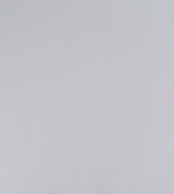 Обои флиз. Артекс EcoLine Дельта 10861-04 10х1.06м *1/6