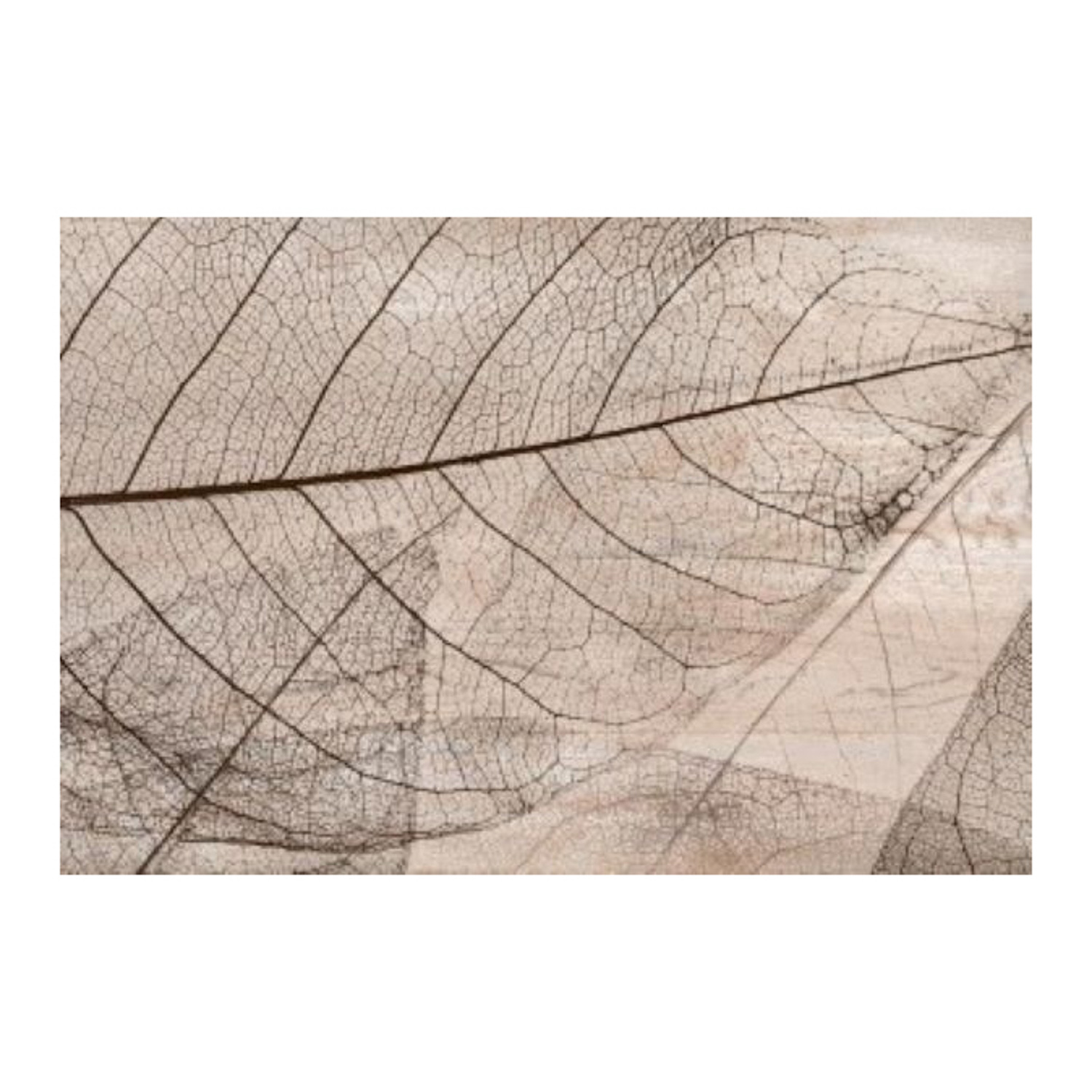 Плитка декоративная Евро-Керамика Мадейра Фантазия 1, 270х400 мм