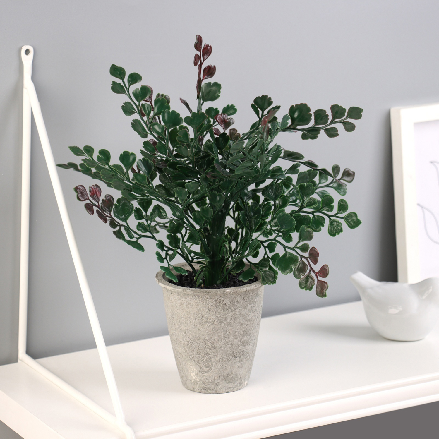 Бонсай в горшке "Скумпия экстра" 24х8,5 см, микс   10463224