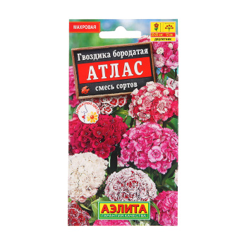 Семена Гвоздика Атлас турецкая махровая смесь сортов 0,1гр Аэлита *10/200
