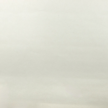 Обои  флиз. "Эрисманн" Monica фон (беж.) 60939-02 10.05х1.06м *6