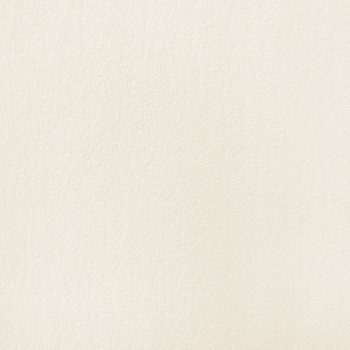 яяяОбои флиз. "Эрисманн" Defender Color 2856-3 25х1.06м *4