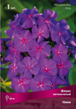 Флокс метельчатый Ники/К