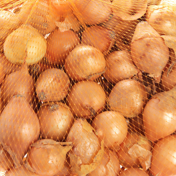 Лук-севок  Геркулес F1 (21/24)  0,5кг +/-10%